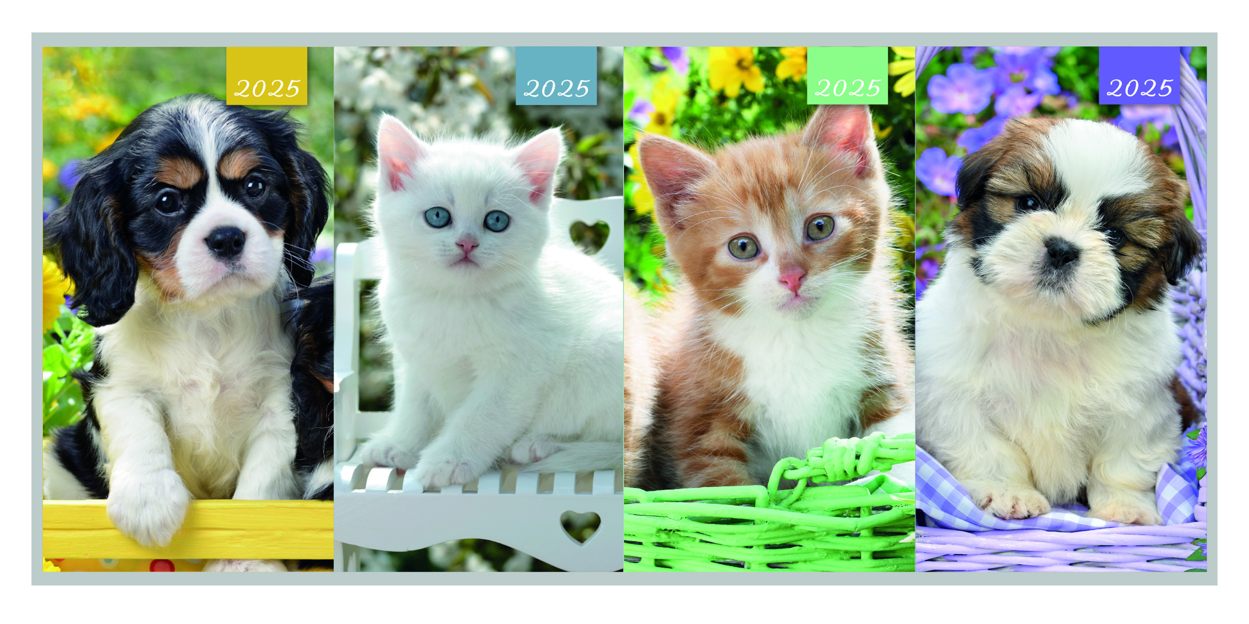 DG0706 Slim 2WTV Kitten & Puppy Diary 2025 Diaries & Calendars