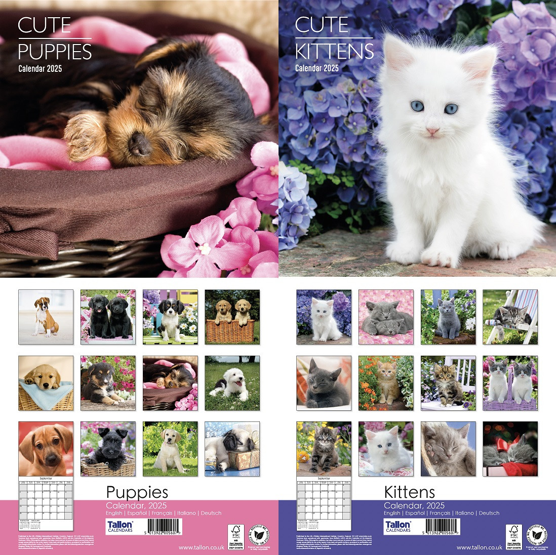 DG1103 Square Kittens/Puppies Calendar 2025 Diaries & Calendars