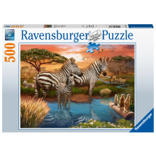 500pc Zebra at Waterhole