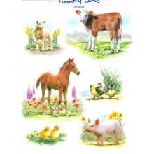 Country Cards 10516 Open Animals