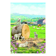 JEC0087 Open 40 Easter Cards CC10624 - Cards Are Printed With Happy Easter In Gold Foil.