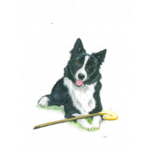 Country Cards 10684 Open Dogs