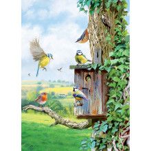 Country Cards 10688 Blank Birds