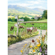 Country Cards 10691 Open Scenic