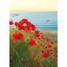 Country Cards 10722 Open Poppies