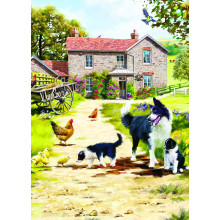Country Cards 10759 Open Dogs
