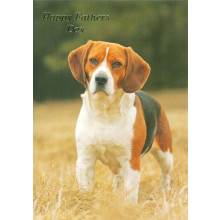 JFC0002 Open Trad C50 Father's Day Cards CC10763 - Cards Will Be Printed With Happy Fathers Day In Gold Foil.