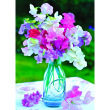 Country Cards 10776 Open Floral