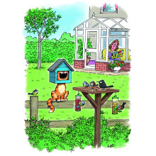 Country Cards 10811 Blank Humour