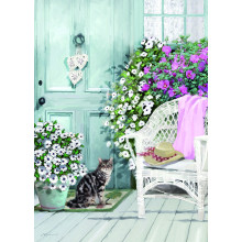 Country Cards 10827 Open Cat