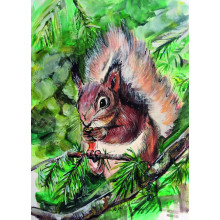 Country Cards 10834 Open Squirrel