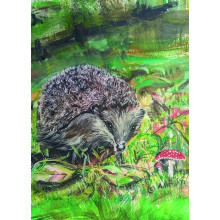 Country Cards 10836 Open Hedgehog