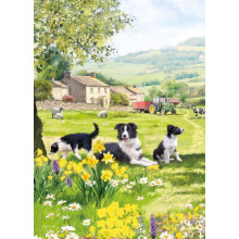 Country Cards 10858 Open Dogs