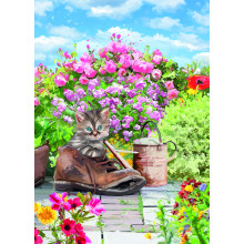 Country Cards 10883 Open Cat
