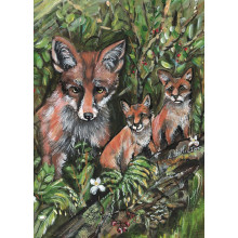 Country Cards 10886 Open Foxes