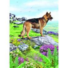 Country Cards 10908 Open Dog