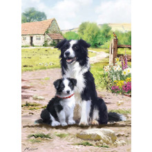 Country Cards 10911 Open Dogs