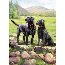 Country Cards 10913 Open Dogs