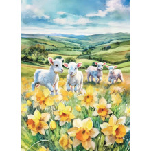 Country Cards 10935 Blank Lambs