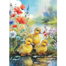 Country Cards 10937 Blank Chicks