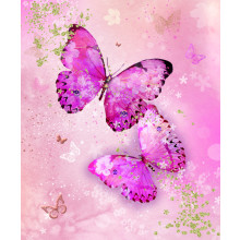 Gift Tag Female Butterflies