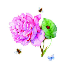 Gift Tag Female Floral Butterflies