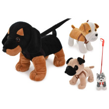 Dog on Lead 4 Assorted Designs