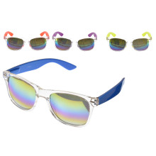 Sunglasses Adult Clear Frame