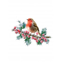 Open Robins 40 Christmas Cards  - Cards are printed with Christmas Greetings in Gold Foil