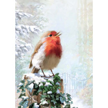 JXC2337 Open Robin C40 Christmas Card CC161 - Card Will Be Printed With Christmas Greetings In Gold Foil.