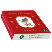 XF0102 Recyclable 12 Square Robin Xmas Cards