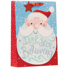 XE02702 Gift Bag Believing Large