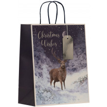 XE02114 Gift Bag Forest Prince Large