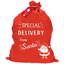XF4607 Red Santa Sack Special Delivery