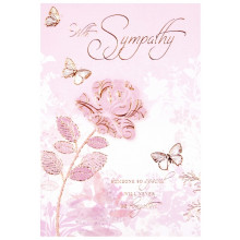 Loss Of Daughter Cards SE24006