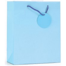 Gift Bag Pale Blue Medium