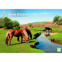 DH1512 A4 New Forest Calendar