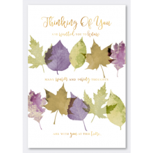 Thinking Of You Cards SE28011