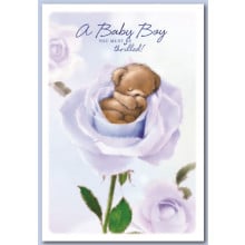 Baby Boy Cards SE28207