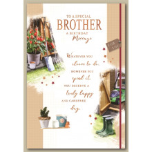 Brother Trad Cards SE28660