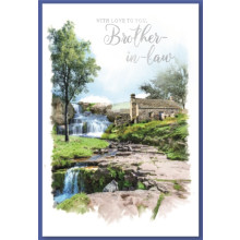 Brother-in-law Trad Cards SE29132