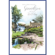 Grandson Trad Cards SE29132