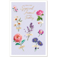Special Friend Female Trad 75 Cards SE29182