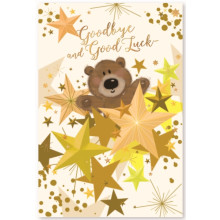 Goodbye & Good Luck Cute Cards SE29248