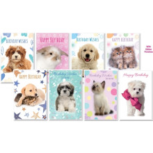 Open Wags & Whiskers Cards Unit SE29301