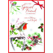 JXC1291 Special Friend Robins 50 Christmas Cards