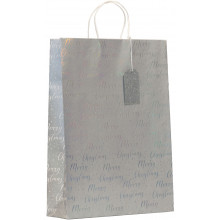 XE02309 Gift Bag Shimmer Medium
