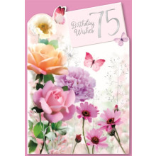Age 75 Female C50 Card SE30180