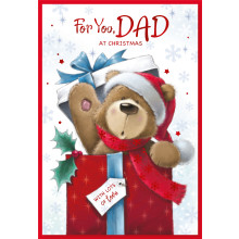 JXC1486 Dad Cute Christmas Card 50 SE30341