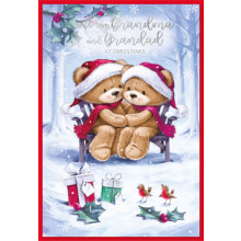 JXC1652 Grandma & Granddad Cute Christmas Card 50 SE30342